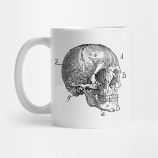 Skull Diagram - Vintage Anatomy Mug